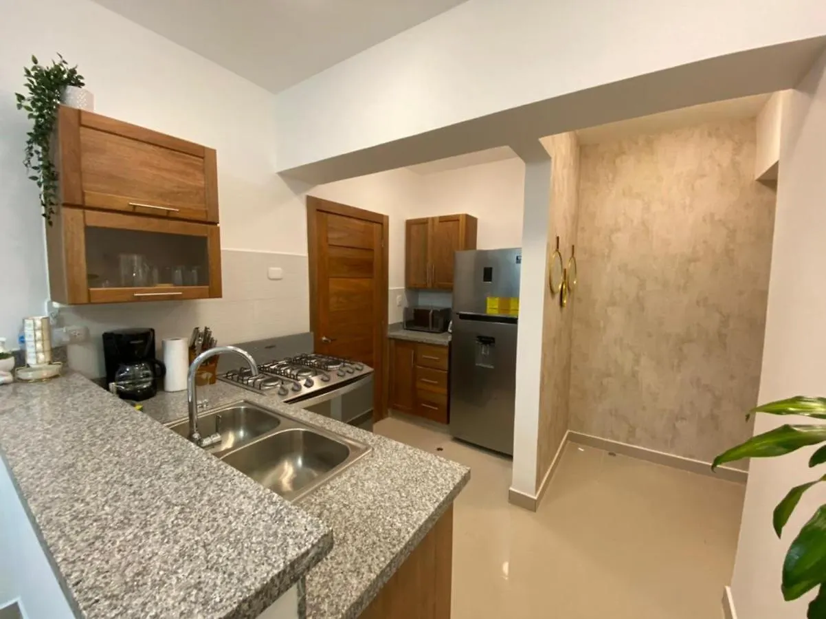 Hermoso Apartamento En La Mejor Ubicacion De 聖多明哥